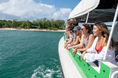 Snorkel en Normanby Island Reef: Gran Barrera de Coral