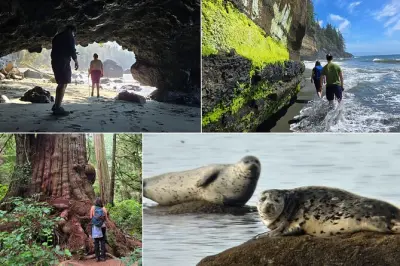 Tour de fauna en Vancouver Island: Bosque lluvioso y playas