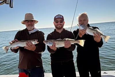 Pêche à Tampa Bay : Snook, redfish et tarpon en demi-journée