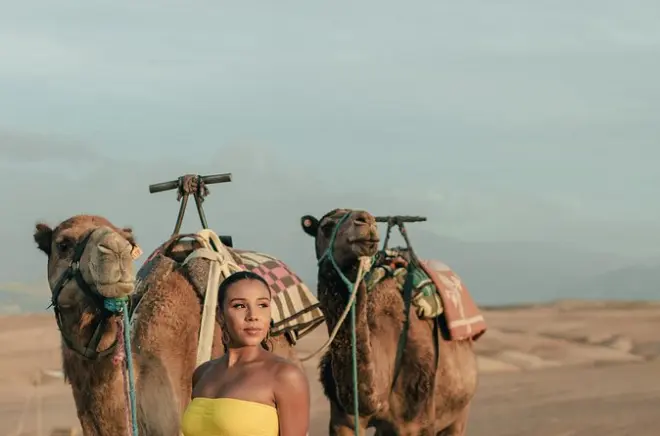 Désert de Zagora : Balade à dos de chameau et camp berbère 2j