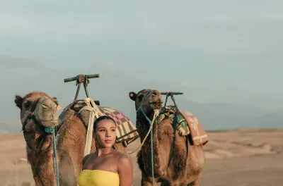 Désert de Zagora : Balade à dos de chameau et camp berbère 2j