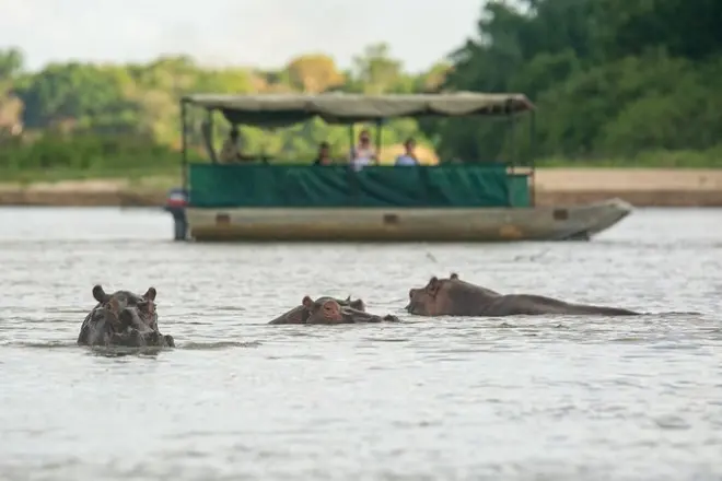 Safari 3 jours dans la réserve de Selous au départ de Dar es Salaam