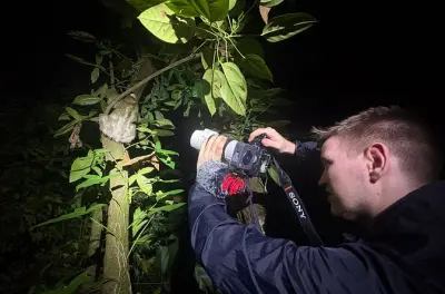 Faune nocturne dans la forêt tropicale de Tortuguero, aventure unique