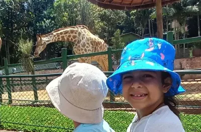 Tour de 4 horas no Zoo e Jardim Botânico de São Paulo com barco