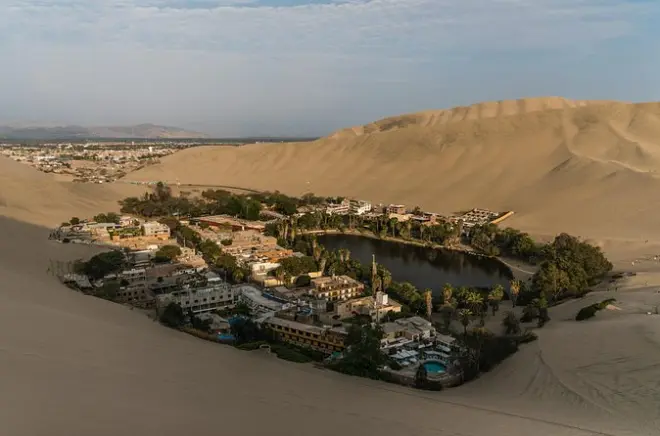 Paracas y Huacachina en un día: Islas Ballestas y buggy en dunas