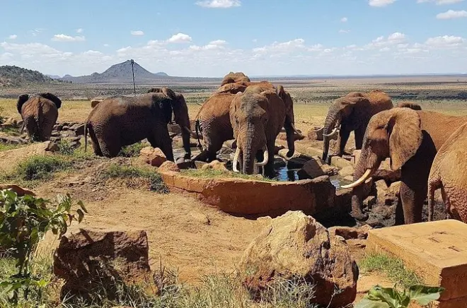 Safari de 2 días en Tsavo East desde Diani Beach: Safaris privados