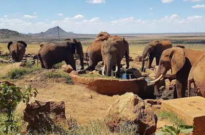 2-Tage Safari Tsavo East ab Diani Beach: Private Pirschfahrten