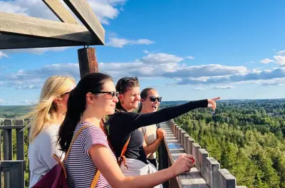 Oslo forest hike with guide and dog: Trails to fire tower views
