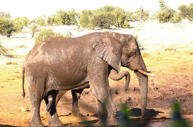 10-Day Victoria Falls, Hwange & Okavango Delta Tour