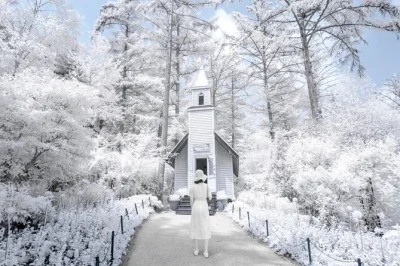 Erlebe die winterzauber im eobi ice valley, spaziere durch die baumalleen von nami island, fahre nostalgische rail bikes und genieße die lichterpracht im garden of morning calm – mit abholung und g