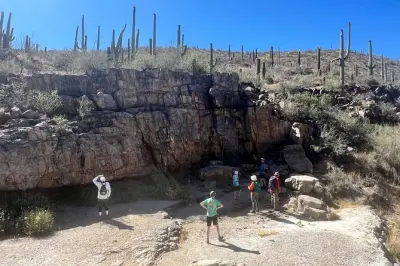 Deserto di Sonora a Tucson: Escursione tra cactus saguaro e fauna