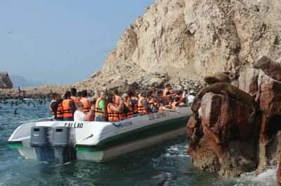 Bootstour zu den Ballestas-Inseln ab Paracas: Seelöwen und Pinguine