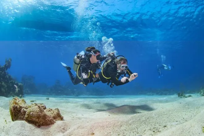 Plongée découverte à Marsa Alam : Initiez-vous au récif coralien