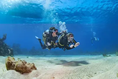Plongée découverte à Marsa Alam : Initiez-vous au récif coralien