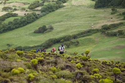 Hike faial’s 10 volcanoes with a private guide. explore caldeira, capelinhos, native forests, and volcanic landscapes. includes transport & hiking poles.