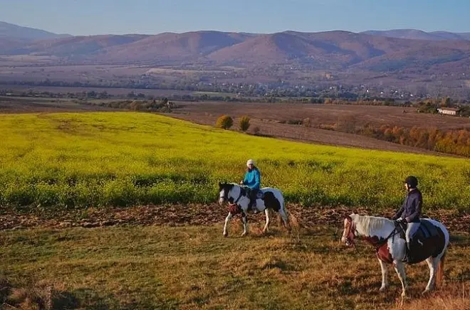 Paseo a caballo cerca de Sofía: Caballos tranquilos según tu nivel