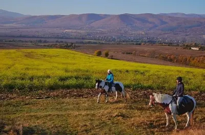 Horseback riding near Sofia: Calm horses, tailored to your level