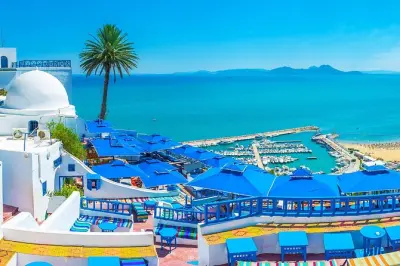 Tunis, Carthage & Sidi Bou Said: Private Day Tour with Pickup