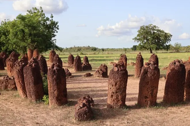 2-Day Georgetown & River Gambia Tour: Colonial History & Wildlife