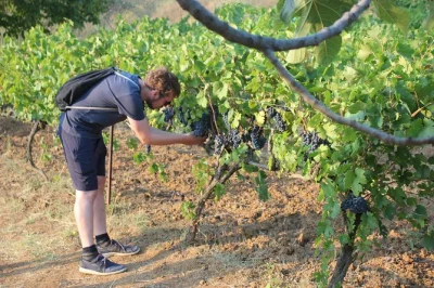 Explore berat’s countryside by 4x4, visit malinat village vineyards, and enjoy local wine tasting with family hosts. book your authentic albanian experience.