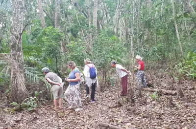 Zanzibar tour: Jozani forest, Kuza cave, Paje beach & snorkel