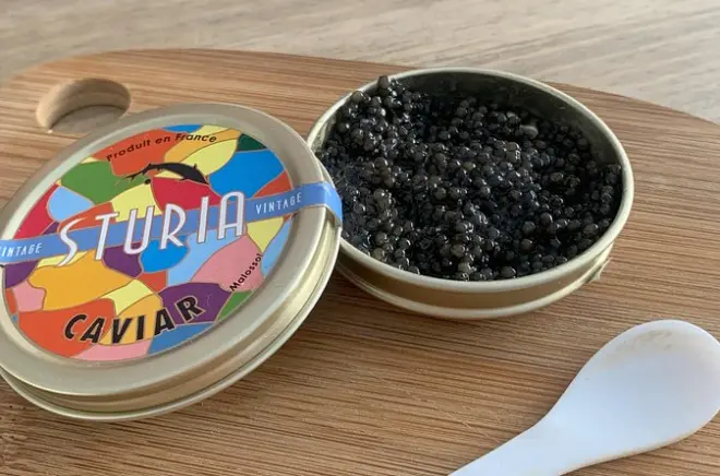 Dégustation de 5 grands crus de Bordeaux avec caviar et foie gras