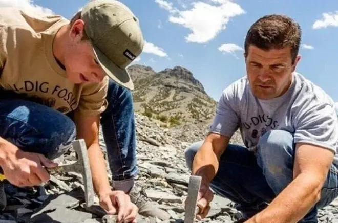 Excava trilobites de 500 millones de años en Utah