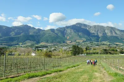 Balade à Franschhoek : 3 domaines viticoles et déjeuner inclus