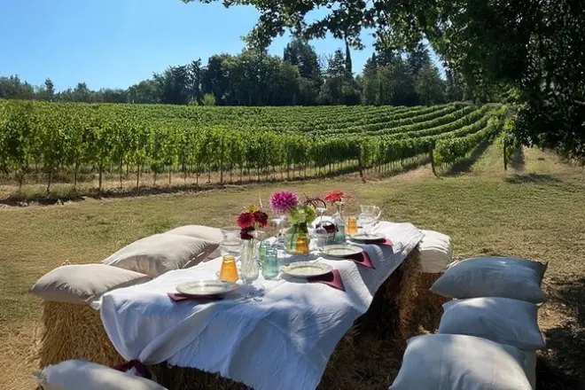 San Gimignano organic wine tasting: Vineyard walk and 8 wines