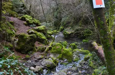 Caminhada em Arcadia: Floresta e desfiladeiro de Arkoudorema