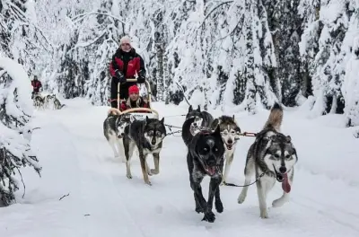 Slitta con husky a Riga: Percorso di 3 km con pick-up
