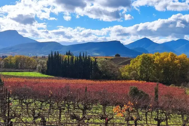 Degustação e almoço em Nemea com vinhos gregos e harmonização