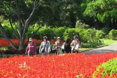 Fukuoka Nokonoshima Island Park tour: Wagyu BBQ & flower hills