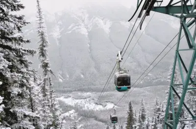 Fauna selvatica a Banff con gondola, piccolo gruppo, mezza giornata
