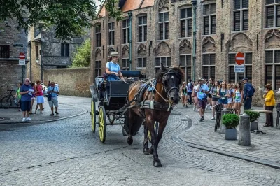 Parti da amsterdam per una gita privata a bruges. scopri il belfort, i canali, le cioccolaterie e molto altro con i tuoi tempi. incluso il pick-up in hotel.