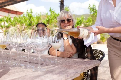 Inizia la tua gita da barcelona con una degustazione privata vicino a penedès. assaggia 7 vini locali, gusta mini tapas e rilassati con una guida esperta. bevande incluse.