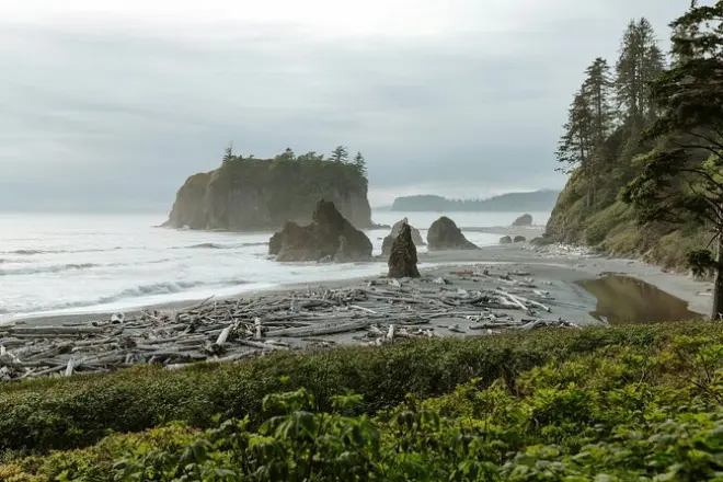 2-Day Olympic National Park Private Tour with Hiking