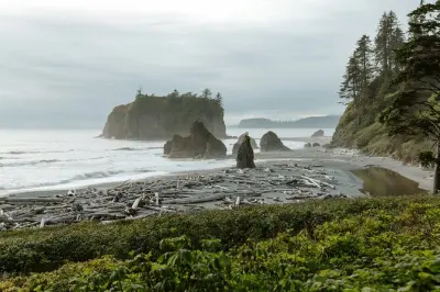 2-Day Olympic National Park Private Tour with Hiking