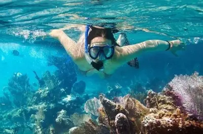 Baía de Vinh Hy: Snorkeling com barco de fundo de vidro em Mui Ne