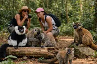 Andasibe 3 dias: Lêmures e floresta saindo de Antananarivo