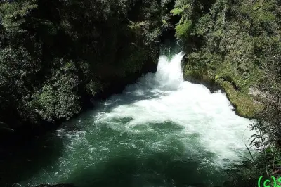 Lo más destacado de Rotorua: Lagos, cascadas y sitios geotérmicos
