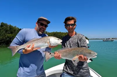 Pêche à Tampa Bay : Snook, tarpon et redfish en demi-journée