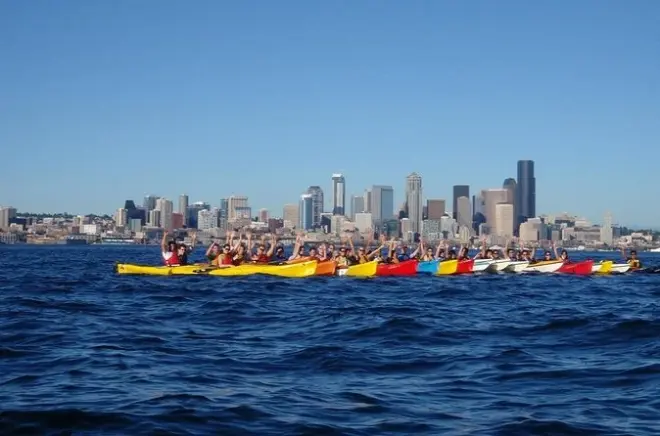 Kayak a Elliott Bay: Skyline di Seattle e fauna marina