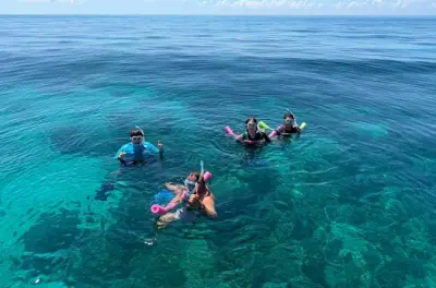 Privates Schnorcheln in Key Largo: Ausrüstung inklusive