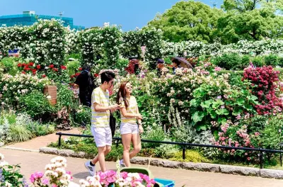 Yokohama à pied : Chinatown, temples et entrepôt en briques rouges