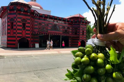 Recorre puerto rico en un día desde san juan con guía local, visitando arecibo, ponce, lugares de películas y disfrutando un almuerzo auténtico puertorriqueño. incluye recogida.