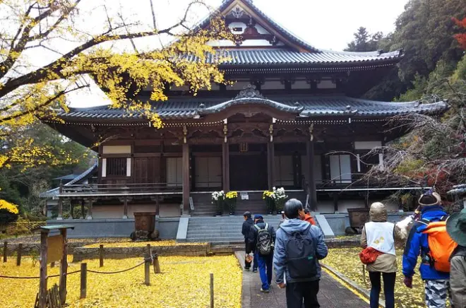 Kasama sake brewery and temple tour: 3-hour walking guide
