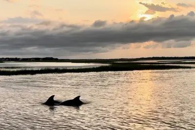 Folly River Delfin-Tour bei Sonnenuntergang: Morris Island Leuchtturm