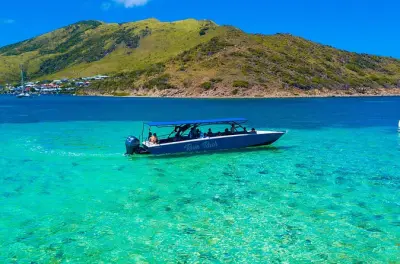 Snorkeling in St Maarten: Turtles, Tintamarre & BBQ lunch