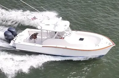 Private Bootstouren in Avalon NJ: Delfinbegegnungen